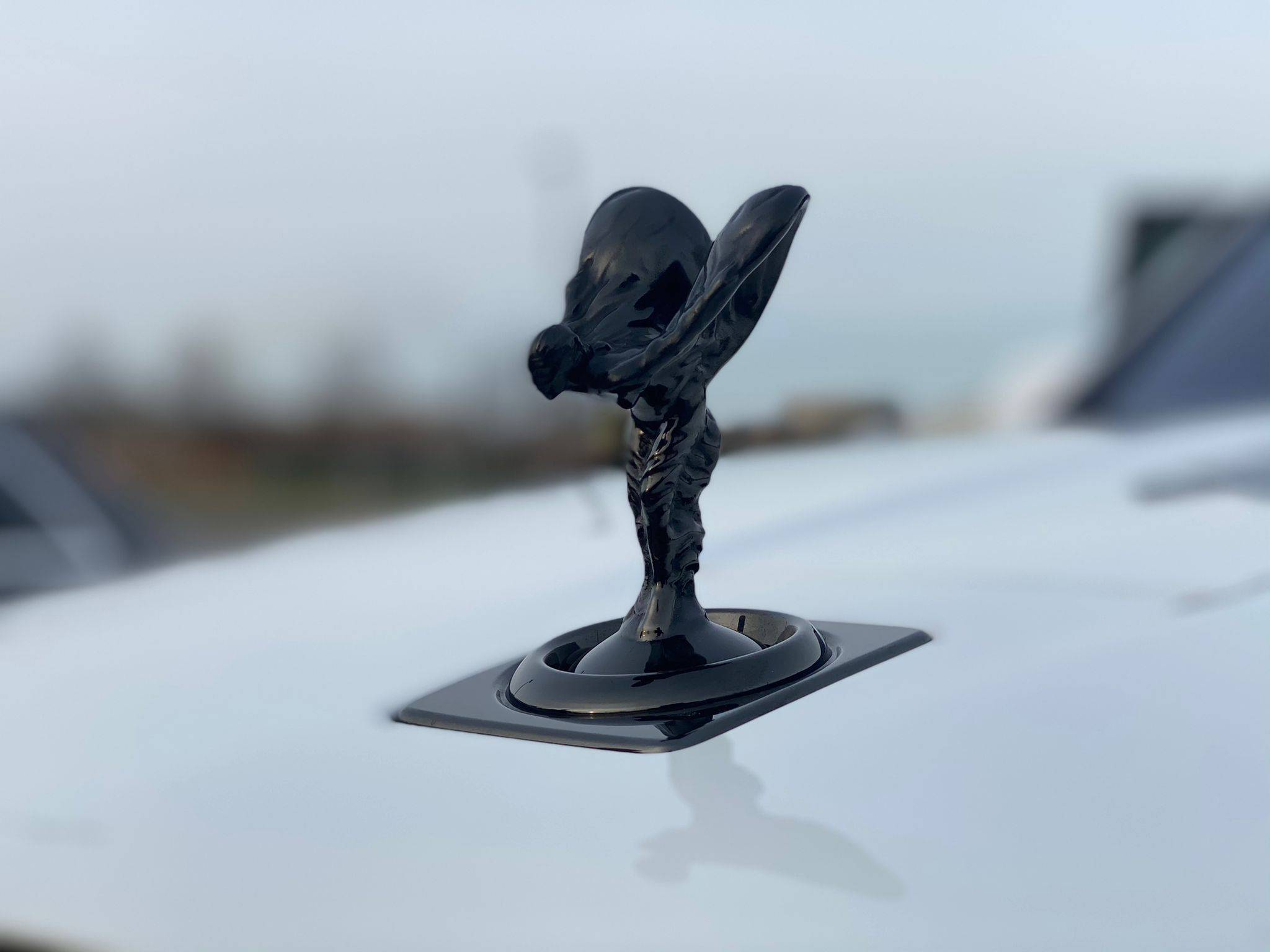 Driver vs. Chauffeur​