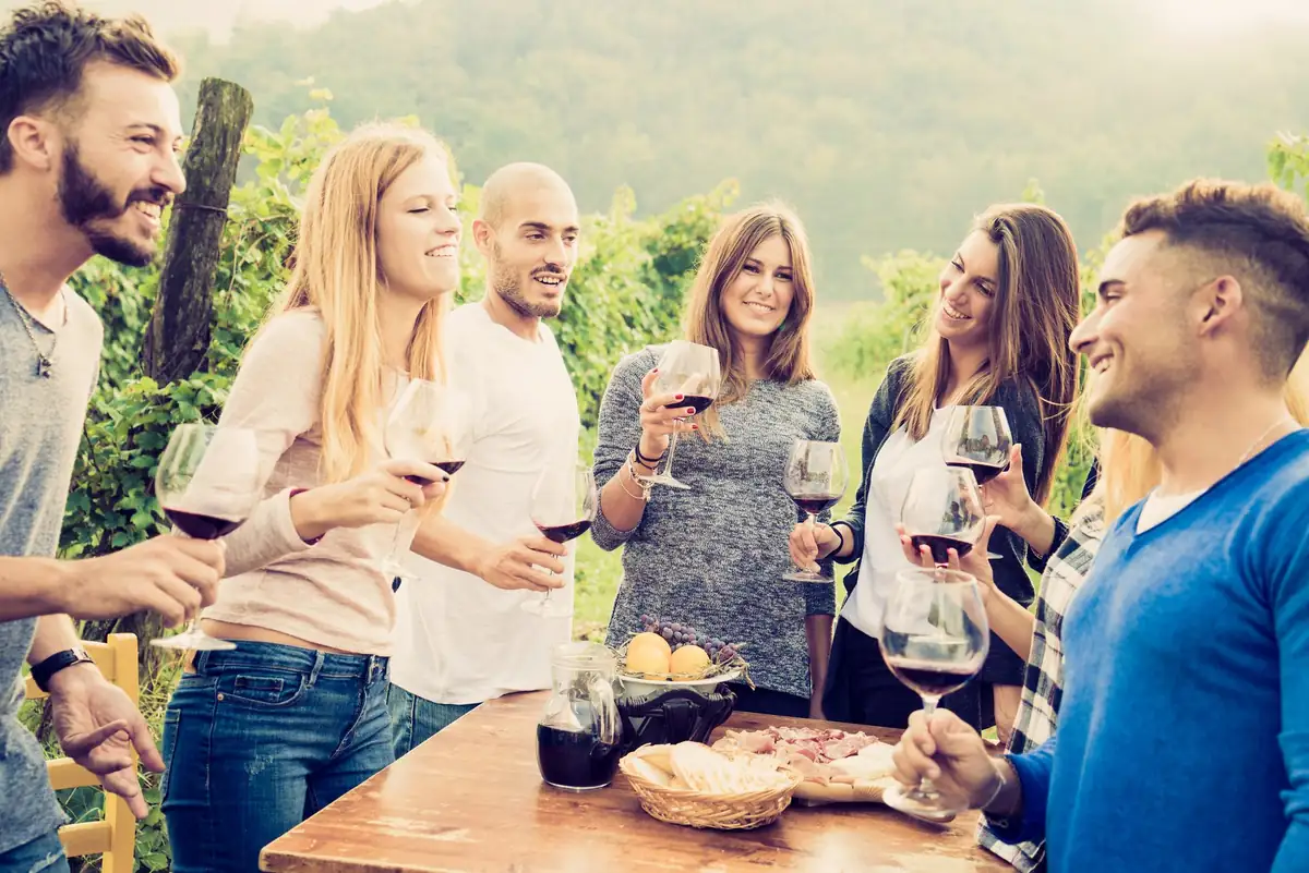 Group of friends toasting with red wine at a vineyard table